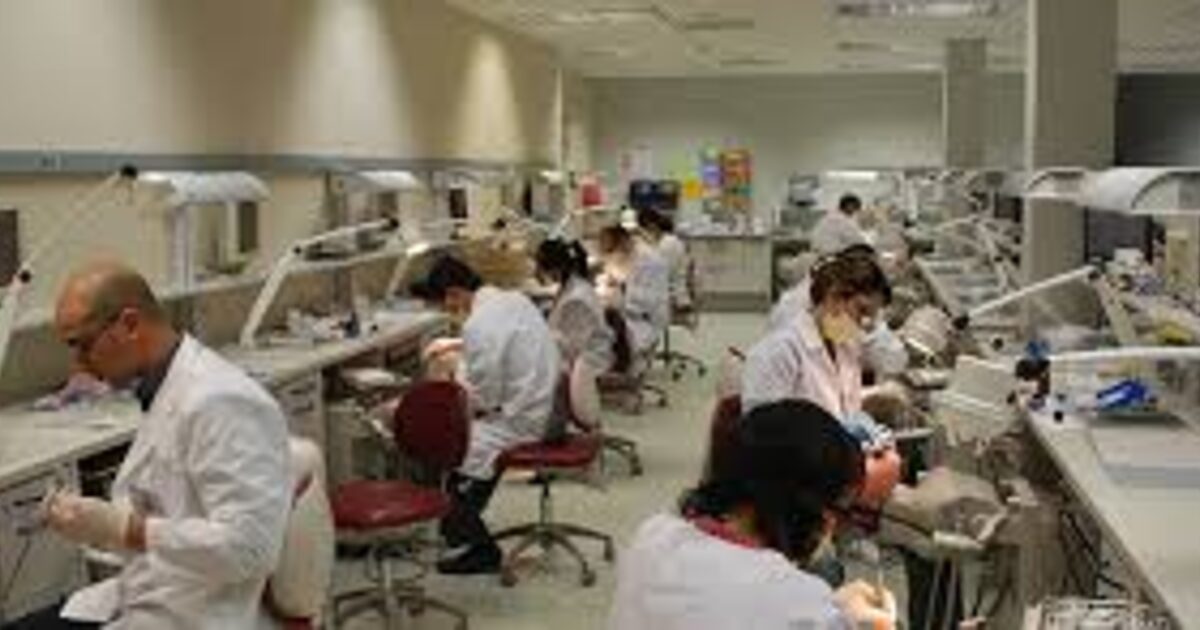 Dental faculty jobs in saudi arabia 2013